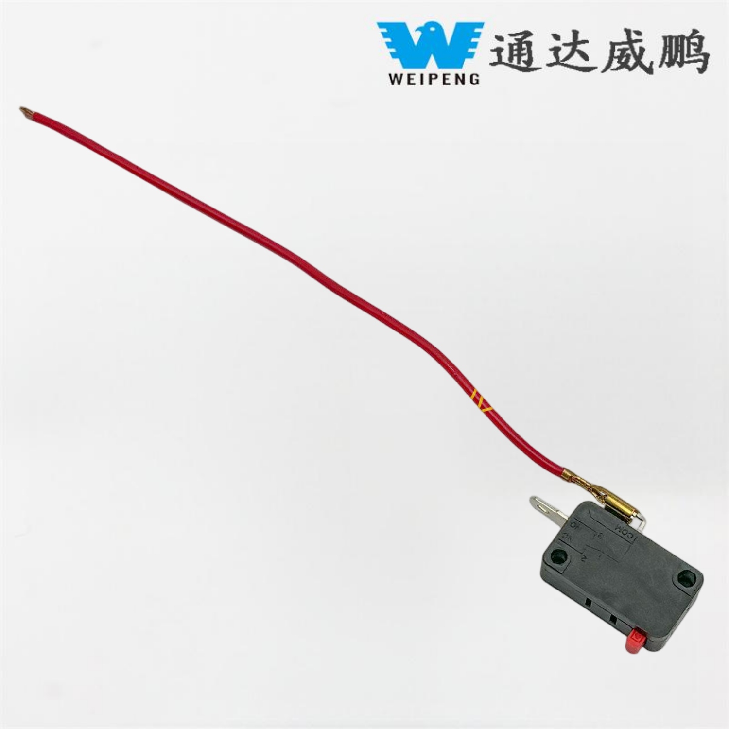 Juhtmega mikrolülitiga autopesumasin