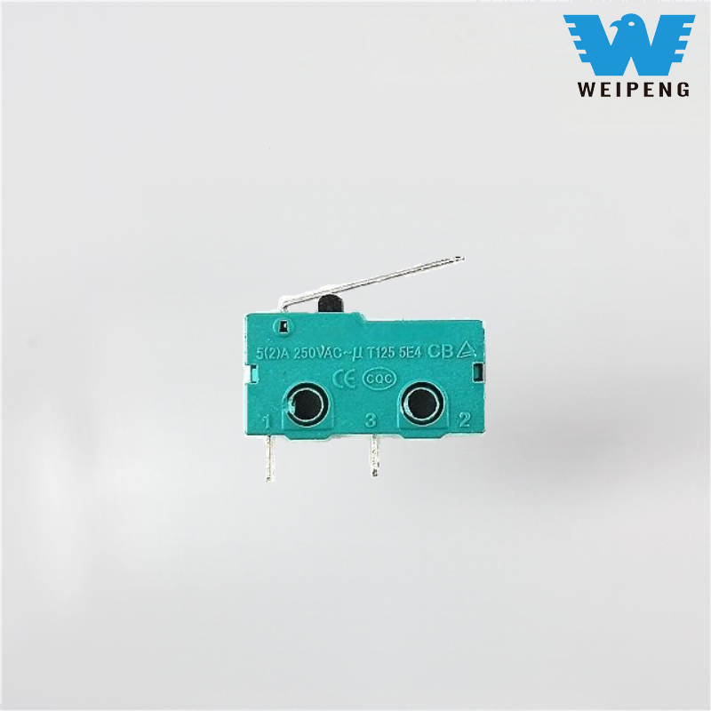 Termiline riisikeetja veesoojendi mahlapress mikrolüliti